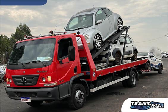 Socorro Medeiros Socorro Medeiros