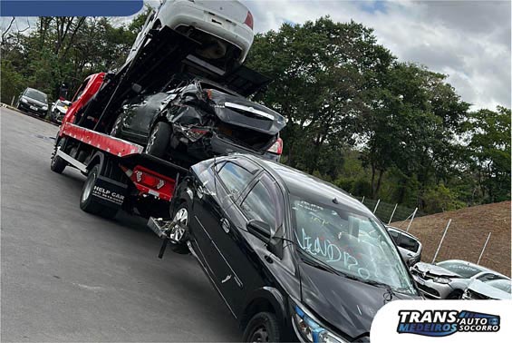 Socorro Medeiros Socorro Medeiros